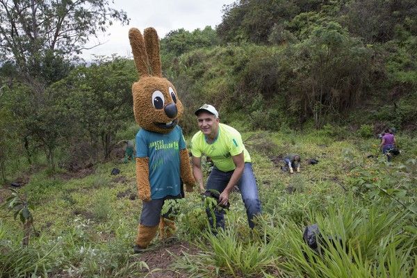 Tres mil árboles fueron sembrados en el Ecoparque Cerro de La Bandera