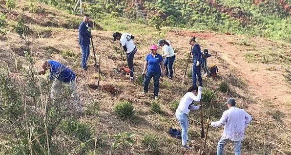 Plan Ave Fénix realizará la primera siembra del año en Cristo Rey Plan Ave Fénix realizará la primera siembra del año en Cristo Rey