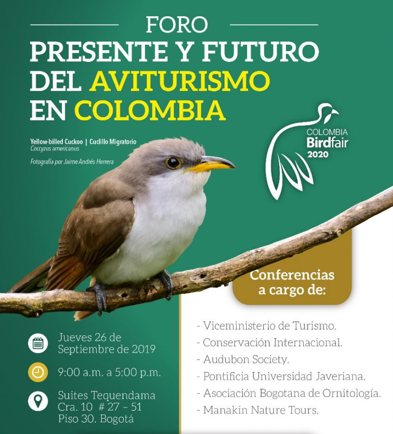 En Bogotá será el lanzamiento de Colombia Birdfair 2020