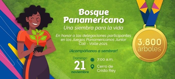 Un Bosque Panamericano renacerá en Cristo Rey