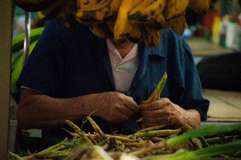 Mercados Campesinos desde este viernes en el Bulevar del Río Mercados Campesinos desde este viernes en el Bulevar del Río
