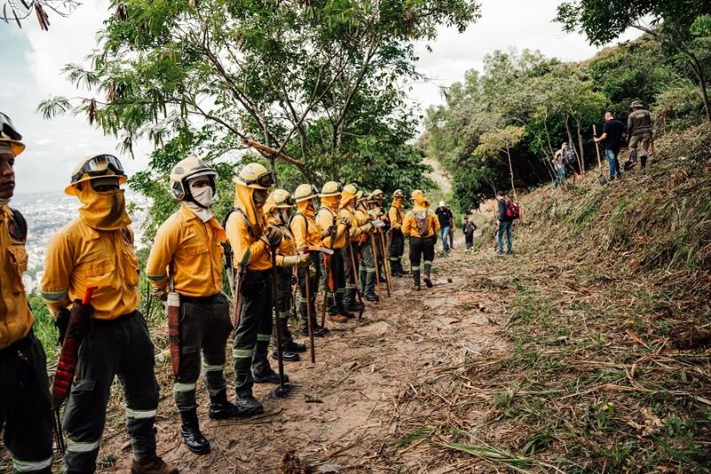 Bomberos de Cali apoyan combates de incendios forestales en Chile