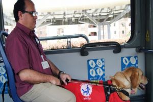 El MIO integra primeros perros guía y asistenciales al sistema