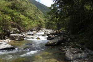 Parque Ecológico Providencia: Una gran apuesta por la conservación