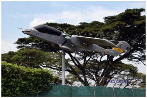 Corredor Verde: Fuerza Aérea instalará tres aeronaves más para exhibición