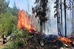 Alerta roja en Cali: altas temperaturas podrían generar incendios forestales