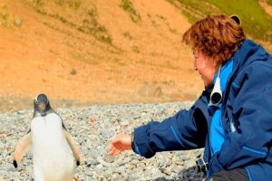Ángela Posada Swafford compartirá su bitácora expedicionaria antártica en Cali