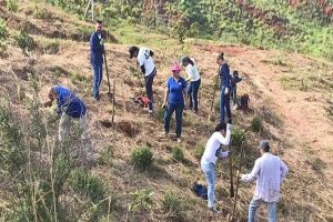 Plan Ave Fénix realizará la primera siembra del año en Cristo Rey