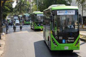 Entra en servicio primera flota de buses eléctricos del país
