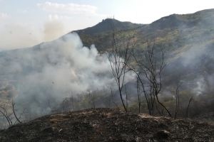 Incendios forestales consumieron vegetación en cerros de Cali