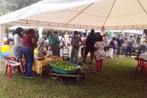 Primer Mercado Agroecológico Rio Cauca en el Hormiguero