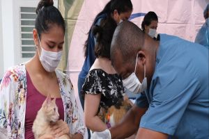 Vacunación de caninos y felinos en la comuna 9