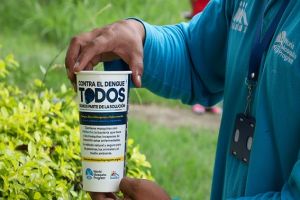 Combata el dengue en temporada de lluvias