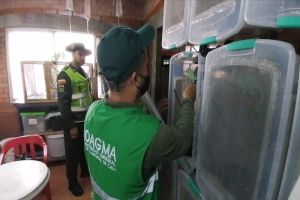 Este año se han rescatado 689 especímenes de fauna silvestre y exótica