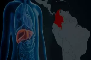El Valle hace vigilancia epidemiológica de hepatitis aguda grave de origen desconocido