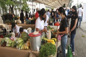 Más de 300 productores se darán cita en la Agroferia y Gran Mercado Campesino