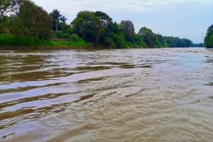 Declarada alerta naranja en Cali tras crecida del río Cauca