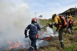 Alcaldía ofrece recompensa para capturar a responsables de incendios